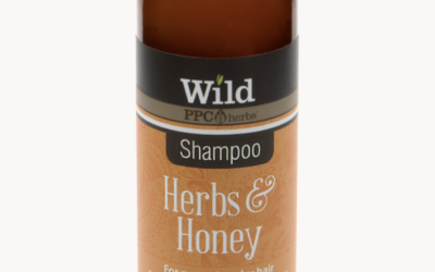 WILD herbs honey shampoo
