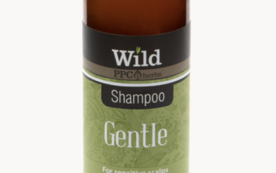 WILD gentle shampoo