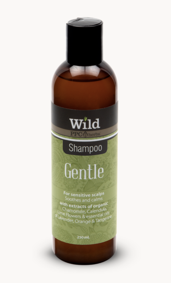 WILD gentle shampoo